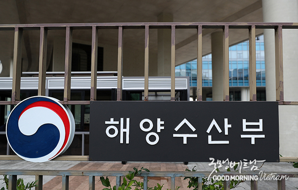 온라인 카지노