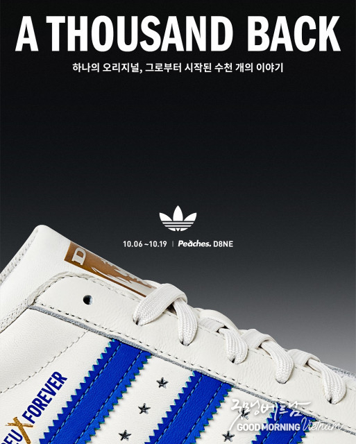 카지노 사이트 추천
