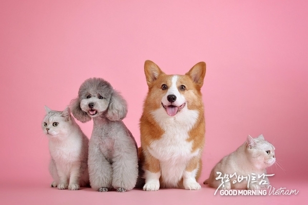 우리 카지노추천