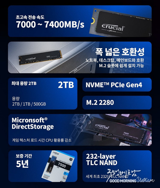 카지노 룰렛 사이트