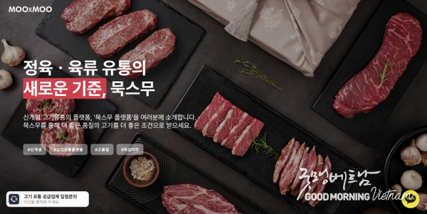 카지노 게임