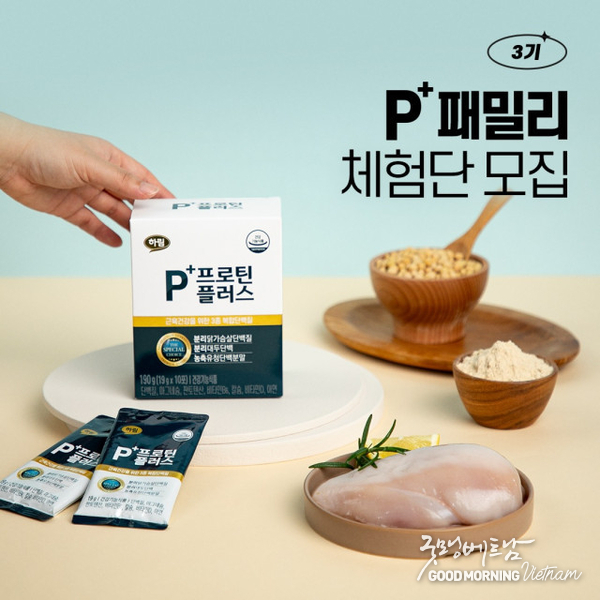 에볼루션 카지노 사이트