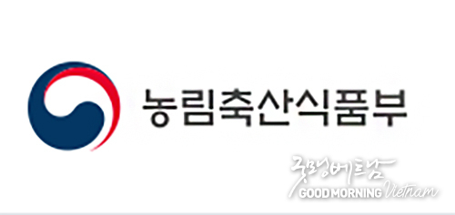 온라인 카지노 합법 사이트