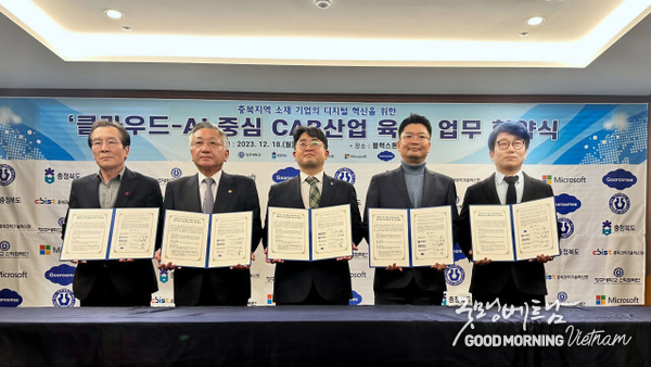 온라인 카지노 합법 사이트