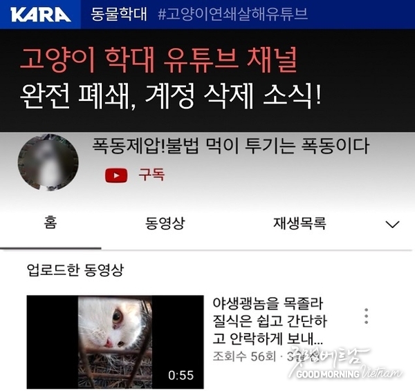 카지노 사이트 추천