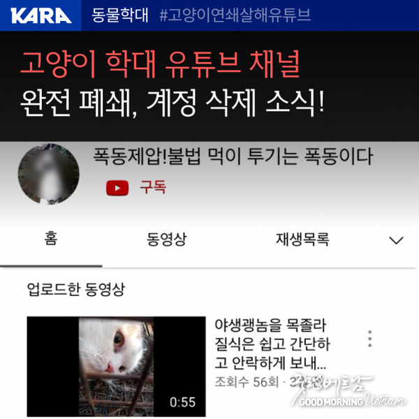 메이저사이트