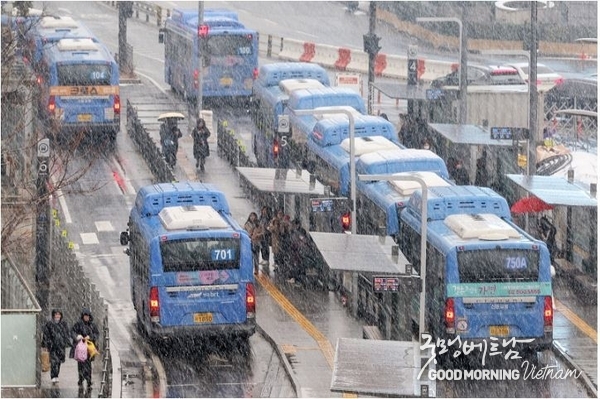메이저사이트
