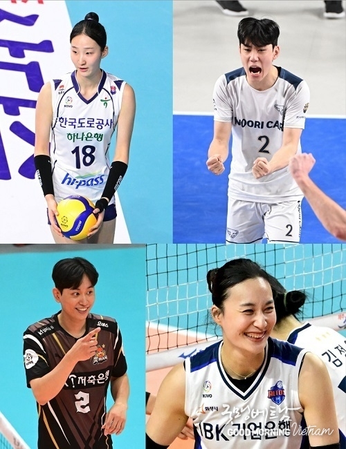 카지노사이트