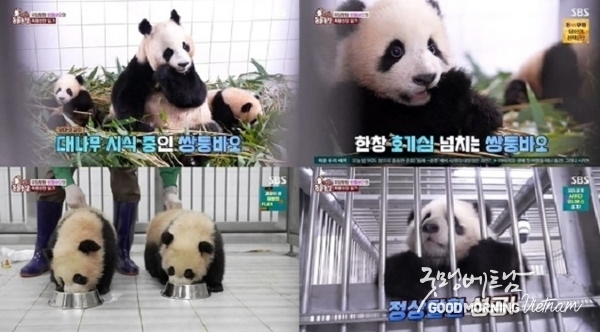 온라인 카지노