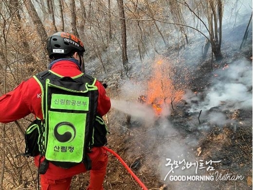 카지노 사이트 추천