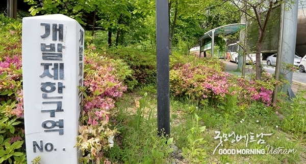 온라인 카지노 합법 사이트