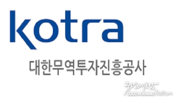 에볼루션 카지노 사이트
