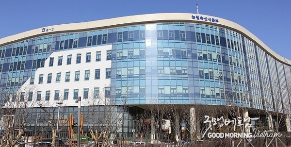 에볼루션 카지노 사이트