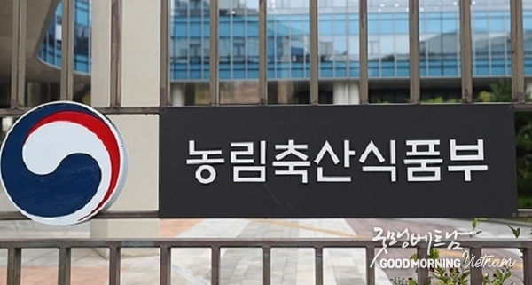 메이저사이트