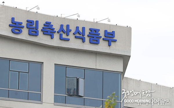 우리 카지노