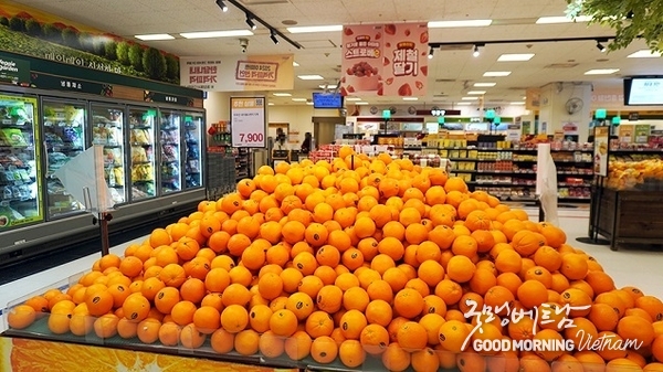 메이저사이트