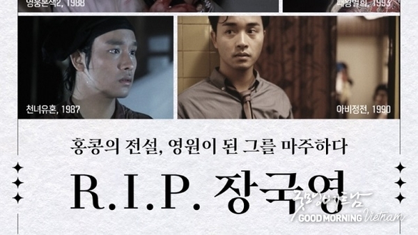 에볼루션 카지노 사이트