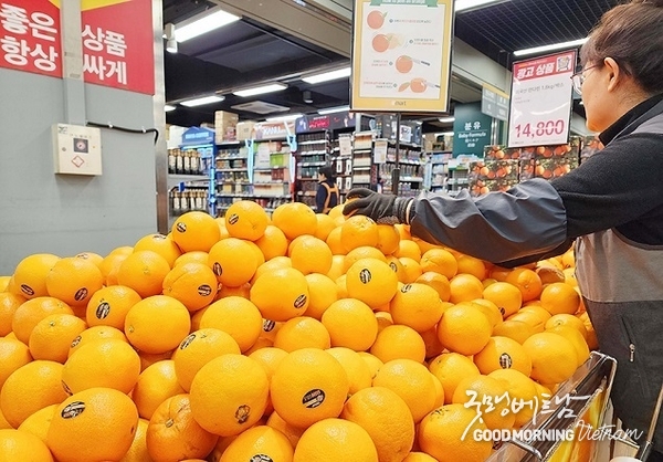 온라인 카지노