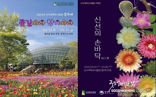 카지노 사이트 추천