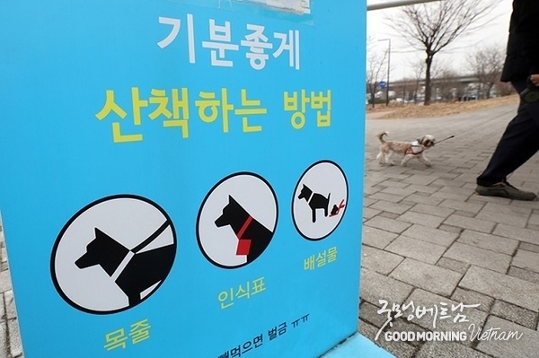 카지노 게임