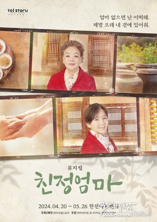 에볼루션 카지노 사이트