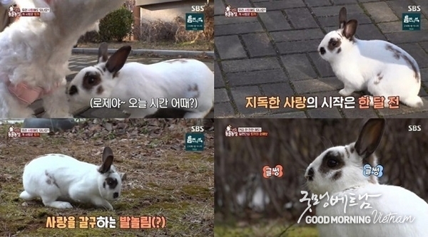 카지노 게임