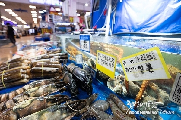 메이저사이트