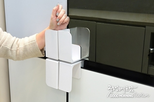 에볼루션 카지노 사이트