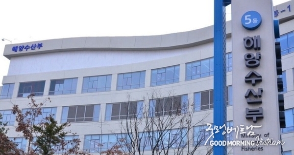 카지노 게임