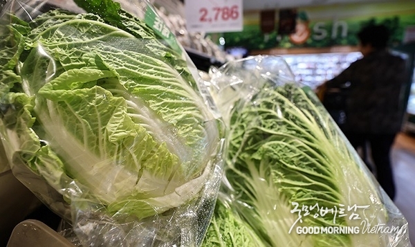 우리 카지노추천