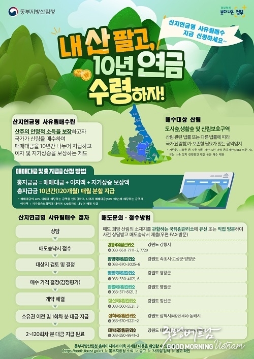 온라인 카지노