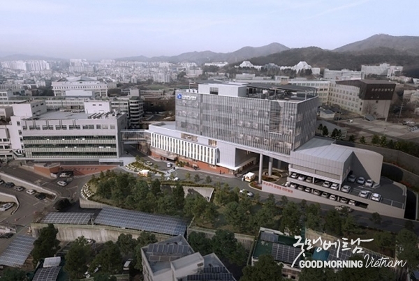 카지노 룰렛 사이트