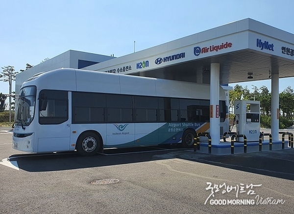 카지노 룰렛 사이트