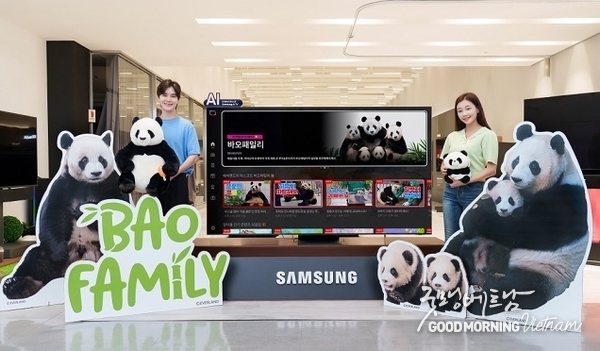 카지노 사이트 추천
