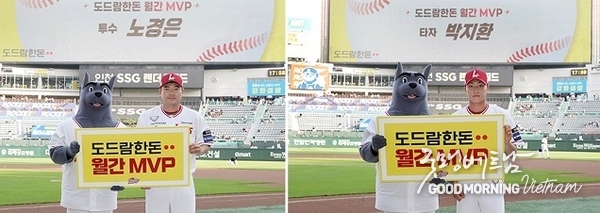 카지노 사이트 추천
