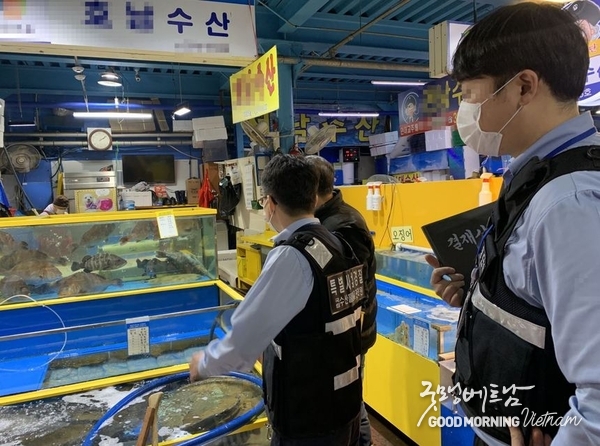 카지노사이트