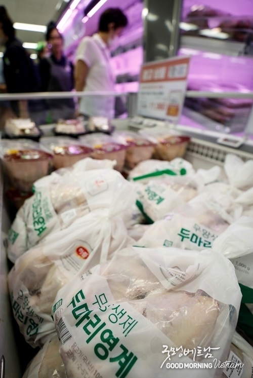 카지노 사이트 추천