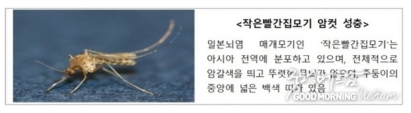 카지노 게임