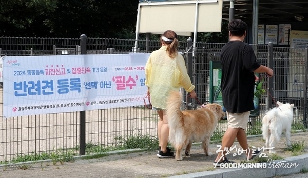 온라인 카지노