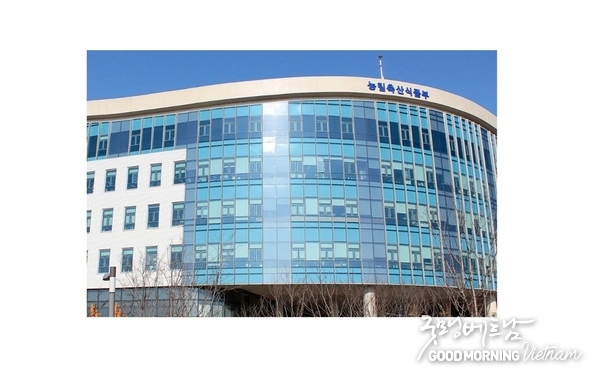 카지노 룰렛 사이트