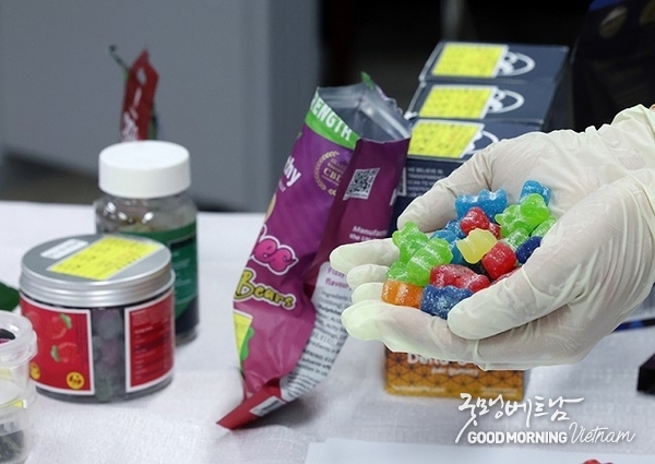 메이저사이트