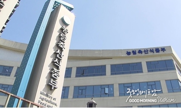 꽁 머니 카지노 3 만