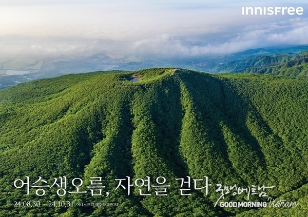 온라인 카지노