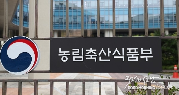 온라인 카지노