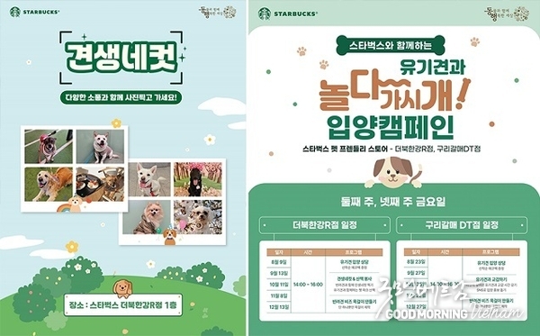 온라인 카지노 합법 사이트