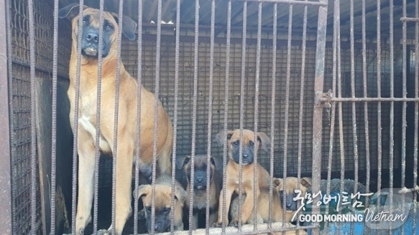 온라인 카지노