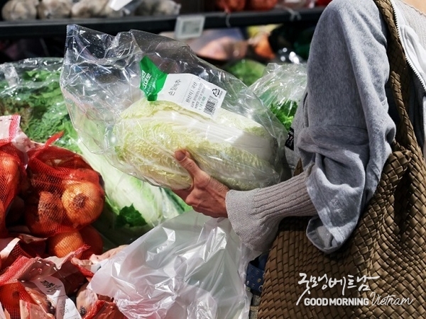 온라인 카지노 합법 사이트